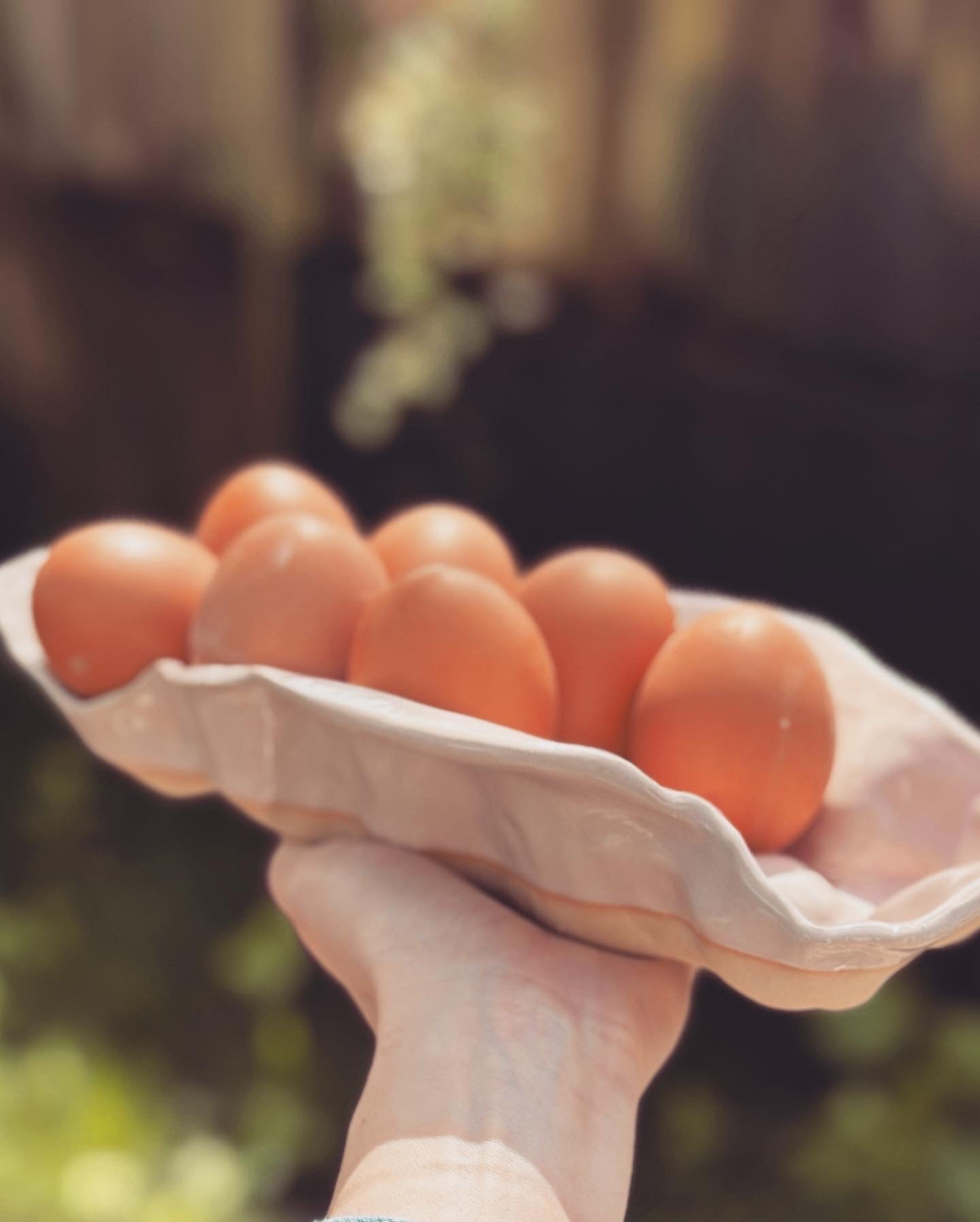 Pink Egg Tray
